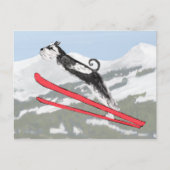Schnauzer op Skis. Briefkaart (Voorkant)