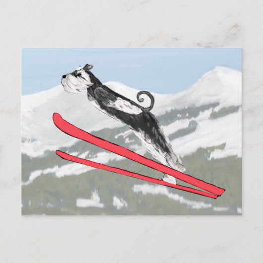 Schnauzer op Skis. Briefkaart (Voorkant)