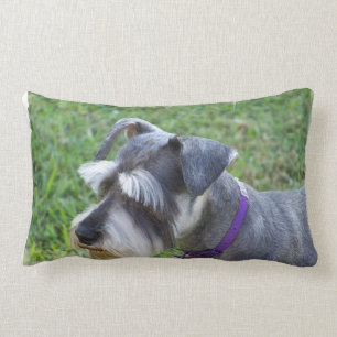 Schnauzer Pillow Kussen