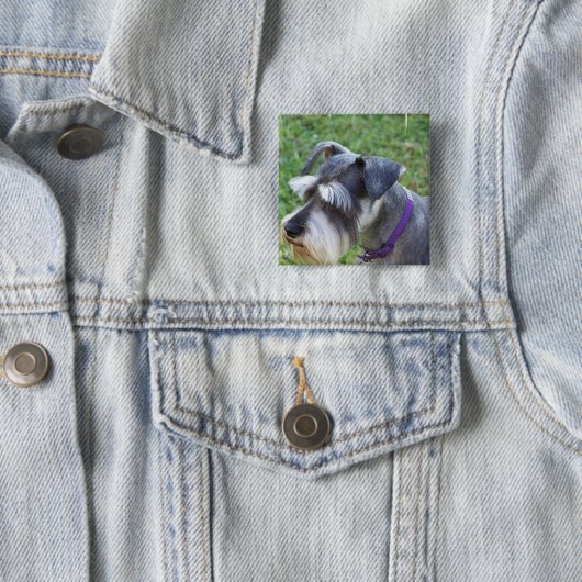 Schnauzer Pin Vierkante Button 5,1 Cm (In situ)