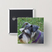 Schnauzer Pin Vierkante Button 5,1 Cm (Voorkant /achterkant)