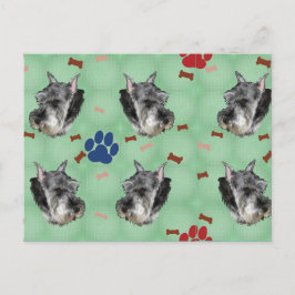 Schnauzer Portrait Briefkaart