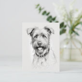 Schnauzer portret potlood schets briefkaart (Staand voorkant)