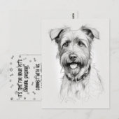 Schnauzer portret potlood schets briefkaart (Voorkant / Achterkant)