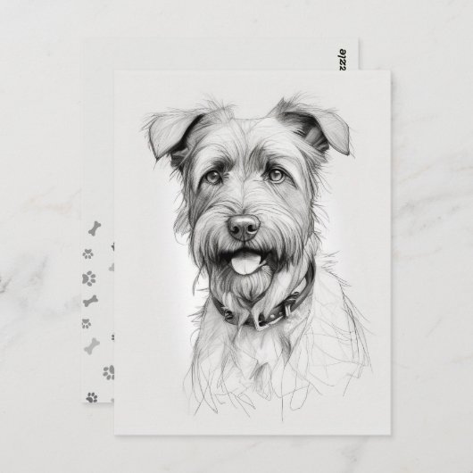 Schnauzer portret potlood schets briefkaart (Voorkant / Achterkant)