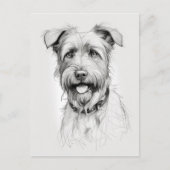 Schnauzer portret potlood schets briefkaart (Voorkant)