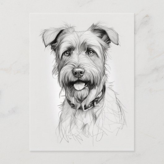 Schnauzer portret potlood schets briefkaart (Voorkant)