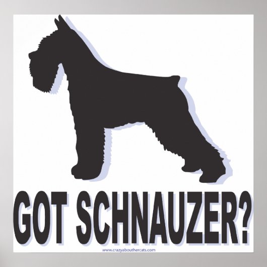 schnauzer poster (Voorkant)