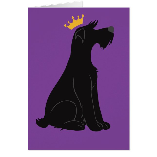 Schnauzer Prince (Voorkant)