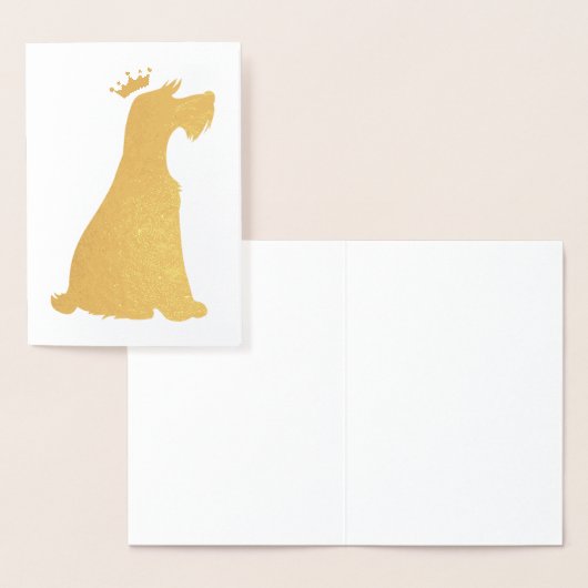 Schnauzer Prince Folie Kaarten (Display)