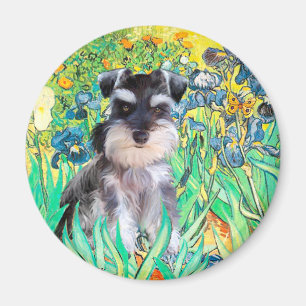 Schnauzer Pup 10Znat - Irissen Magneet