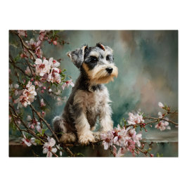 Schnauzer Puppy Among Spring Cherry Blossoms Perfect Poster
