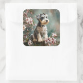 Schnauzer Puppy Among Spring Cherry Blossoms Vierkante Sticker (Tas)