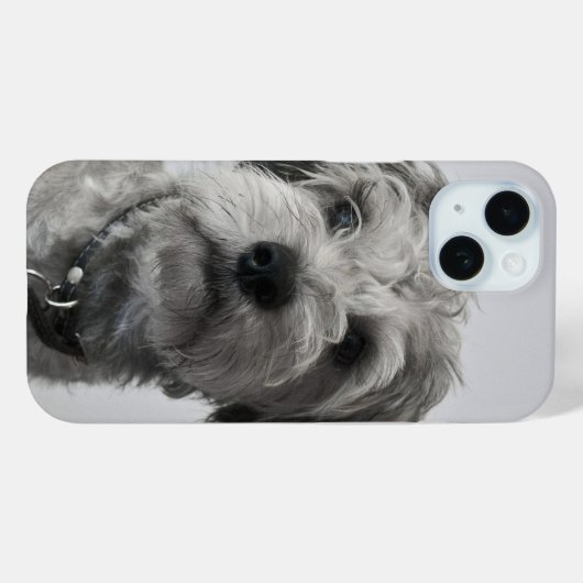 Schnauzer Puppy Case-Mate iPhone Case (Achterkant (horizontaal))