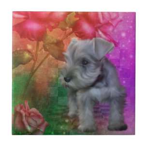 Schnauzer Puppy Dog Animal Art Tegeltje