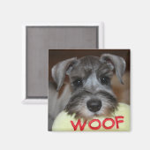 Schnauzer Puppy Magnet (Voorkant / Achterkant)