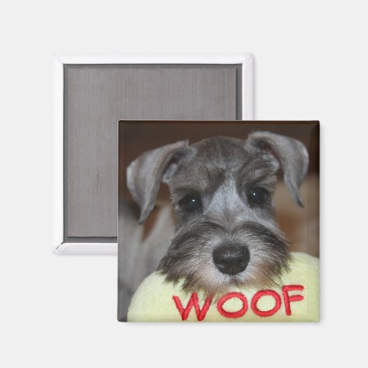 Schnauzer Puppy Magnet (Voorkant / Achterkant)
