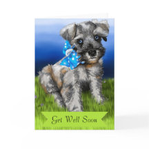 Schnauzer Puppy met Get Well Soon