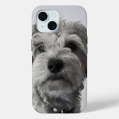 Schnauzer Puppy Portret Foto Case-Mate iPhone Case (Achterkant)