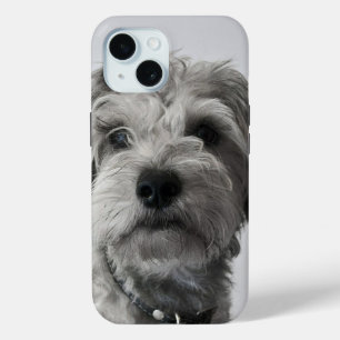 Schnauzer Puppy Portret Foto iPhone 15 Case