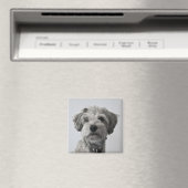 Schnauzer Puppy Portret Foto Magneet (Insitu (Vaatwasser))