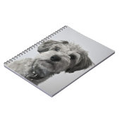 Schnauzer Puppy Portret Foto Notitieboek (Linkerzijde)