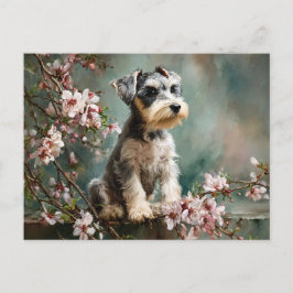Schnauzer Puppy Tussen Lente Kersenbloesems Briefkaart