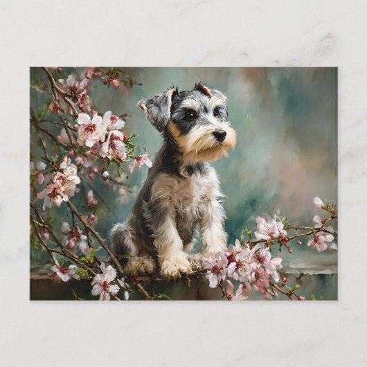 Schnauzer Puppy Tussen Lente Kersenbloesems Briefkaart (Voorkant)