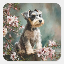 Schnauzer Puppy Tussen Lente Kersenbloesems