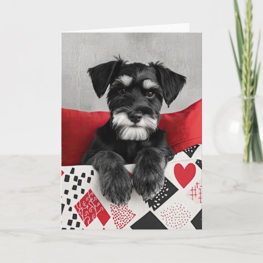 Schnauzer Puppy Valentijn Kaart (Voorkant)