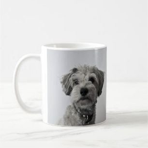 Schnauzer Puppyportret Foto Koffiemok