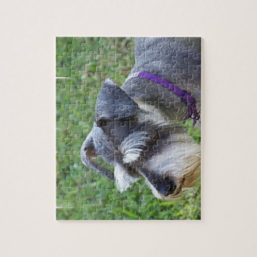 Schnauzer Puzzle Legpuzzel (Verticaal)