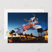 Schnauzer Reindeer Kerstmis Briefkaart - Benicia (Voorkant / Achterkant)