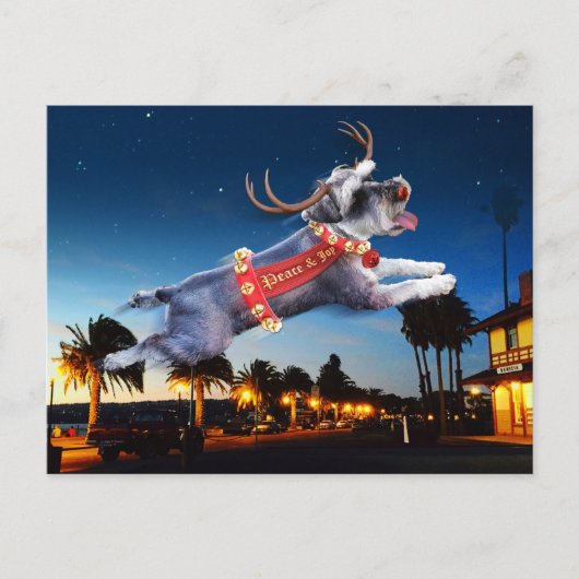 Schnauzer Reindeer Kerstmis Briefkaart - Benicia (Voorkant)