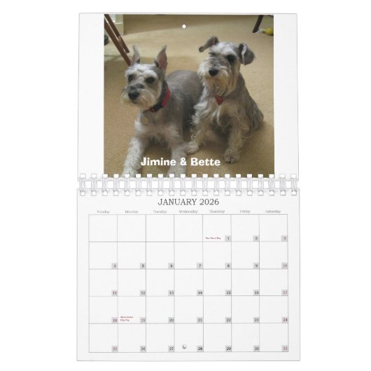 Schnauzer Rescue of the Mid-Atlantic 2012 Kalender (Jan 2026)