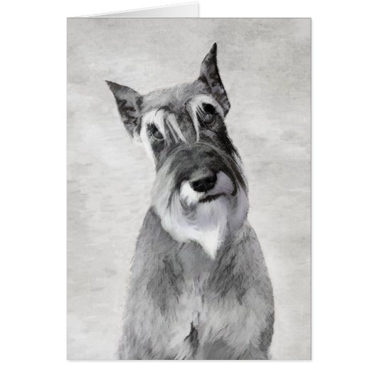 Schnauzer (reuzenschilderkunst) (Voorkant)