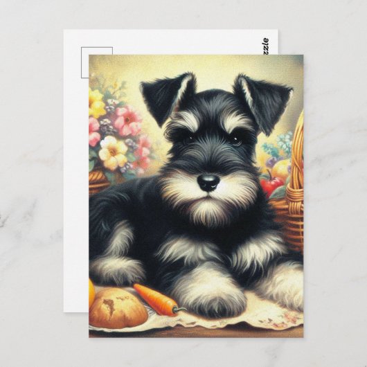Schnauzer Schilderen Briefkaart (Voorkant / Achterkant)