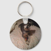 schnauzer sleutelhanger (Voorkant)