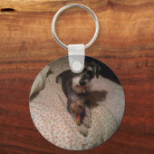 schnauzer sleutelhanger (Voorkant)