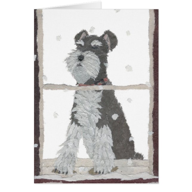Schnauzer, sneeuw, winter, hond Art (Voorkant)