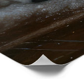 Schnauzer Snowy Sleigh Kerstdecoratie Poster (Hoek)