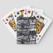 Schnauzer Speelkaarten (Achterkant)