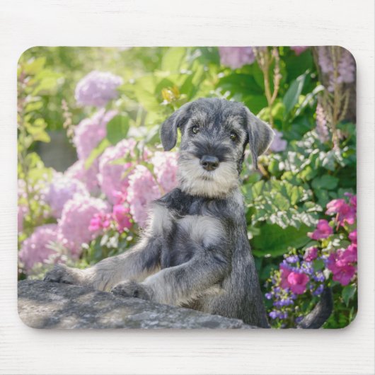 Schnauzer-standaard in een bloeiende tuin muismat (Voorkant)