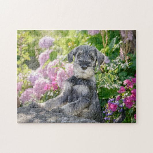 Schnauzer-standaardpuppy in een bloeiende tuin legpuzzel (Horizontaal)
