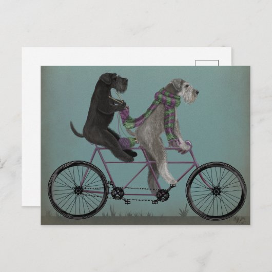 Schnauzer Tandem Briefkaart (Voorkant / Achterkant)