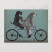 Schnauzer Tandem Briefkaart (Voorkant)