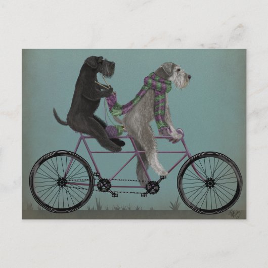 Schnauzer Tandem Briefkaart (Voorkant)