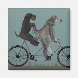 Schnauzer Tandem Magneet