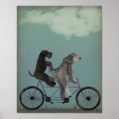 Schnauzer Tandem Poster (Voorkant)