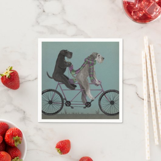 Schnauzer Tandem Servet (Insitu)